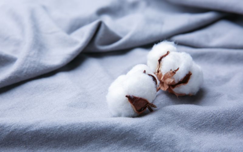 Vải cotton là loại vải được yêu thích, sử dụng phổ biến nhất trong ngành may mặc