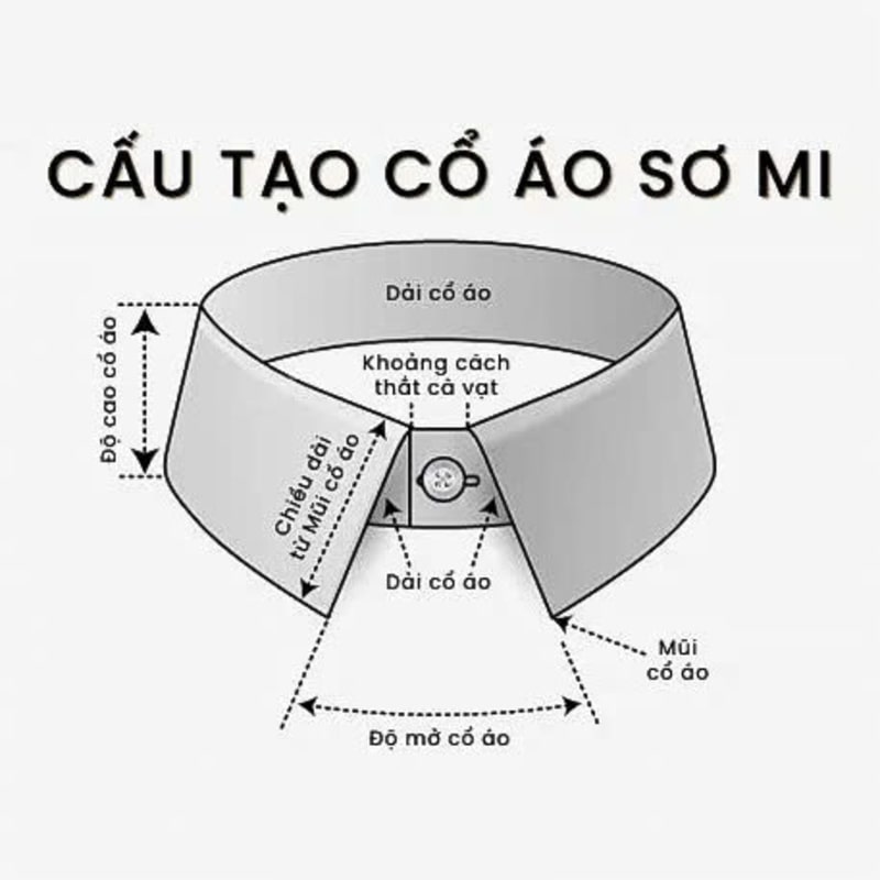 Cấu trúc cổ áo sơ mi